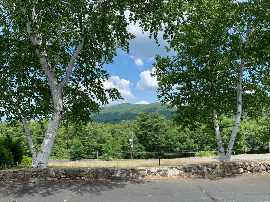 Travelodge By Wyndham Lake George Ny Екстериор снимка